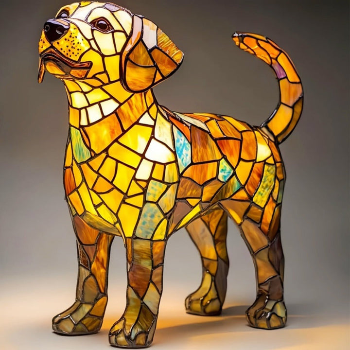 Labrador transparente